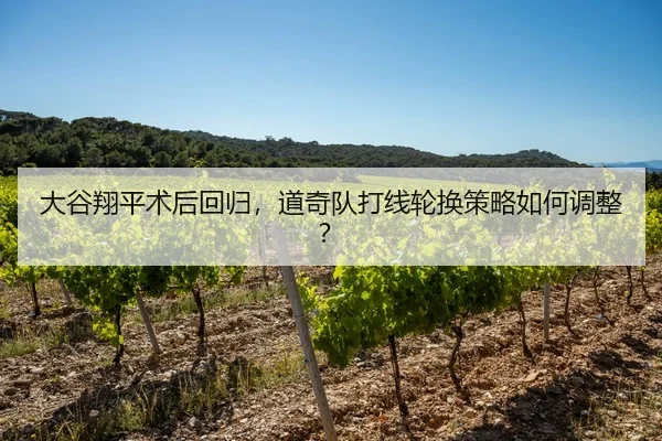 大谷翔平术后回归，道奇队打线轮换策略如何调整？