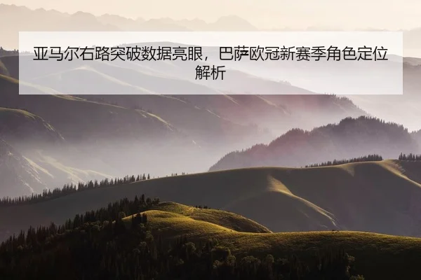 ya-ma-er-you-lu-tu-po-shu-ju-liang-yan-ba-sa-ou-guan-xin-sai-ji-jue-se-ding-wei-jie-xi-2-136.jpg