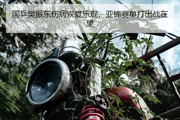 国乒樊振东伤病恢复乐观，亚锦赛单打出战在望